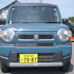 wa-019